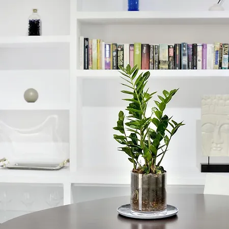 Sèquia Deluxe Appartamento Girona